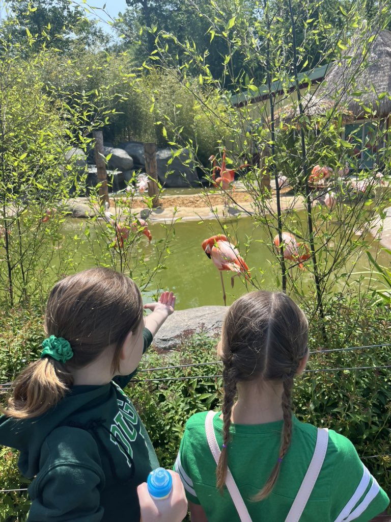 MrsMcGurl's tweet photo. Field trip fun at Turtle Back Zoo! 🦒🐆🦩🐢 🦭@FJDugan @MTPSNJ https://t.co/OcIP3bdijU