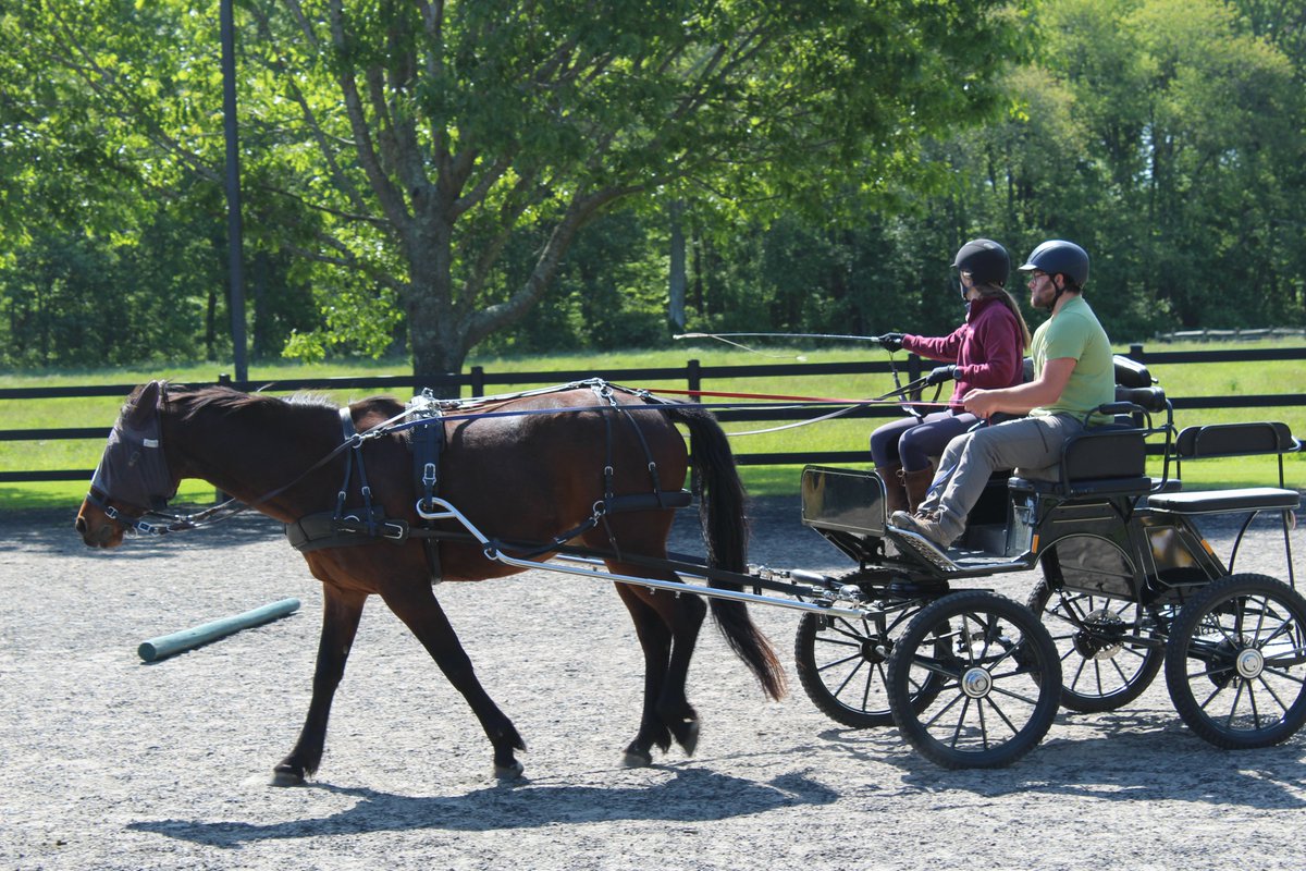 The Rockfall Foundation tweet media