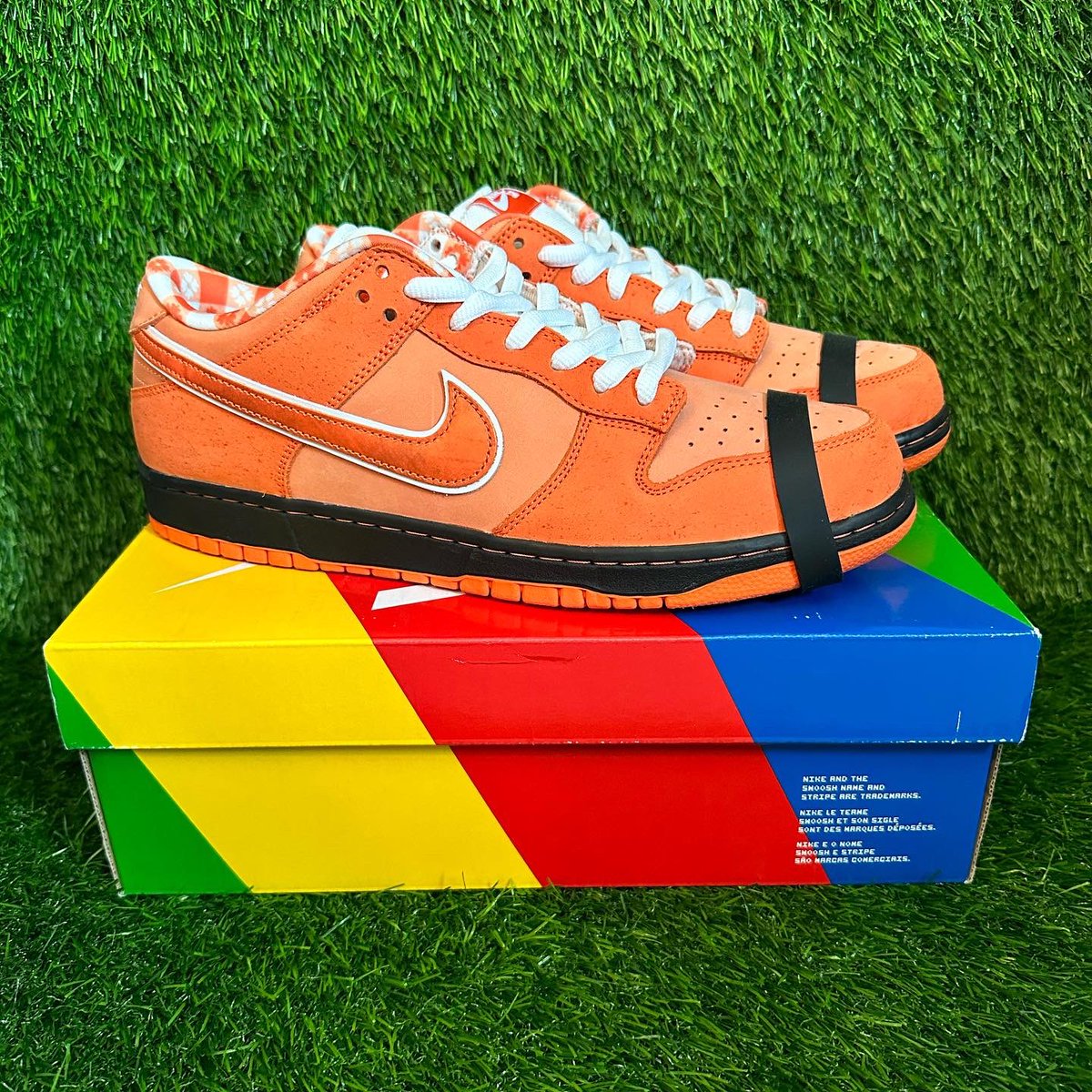 HartShoesx1's tweet photo. Nike SB Dunk Low - Concepts Orange Lobster. π
#sneakerhead #snkrs #kobe #dunks #sbdunks #shoes #travisscott #jordanshoes #kobeshoes #shoecollection #offwhite #kyrieshoes #kd #nike #adidas #lebron #crazyexplosive #HartShoesx1 https://t.co/tSnEvITjsE