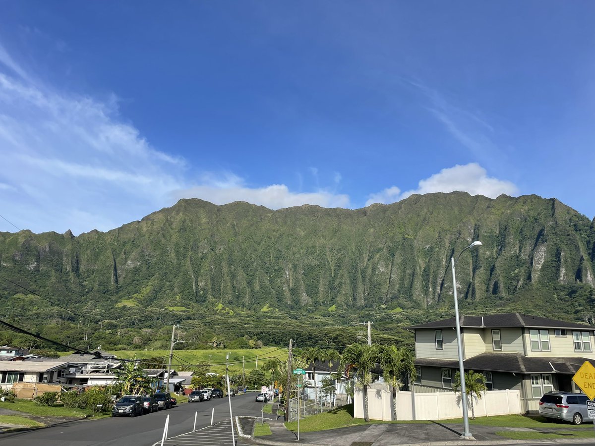 Kas Vegas tweet media