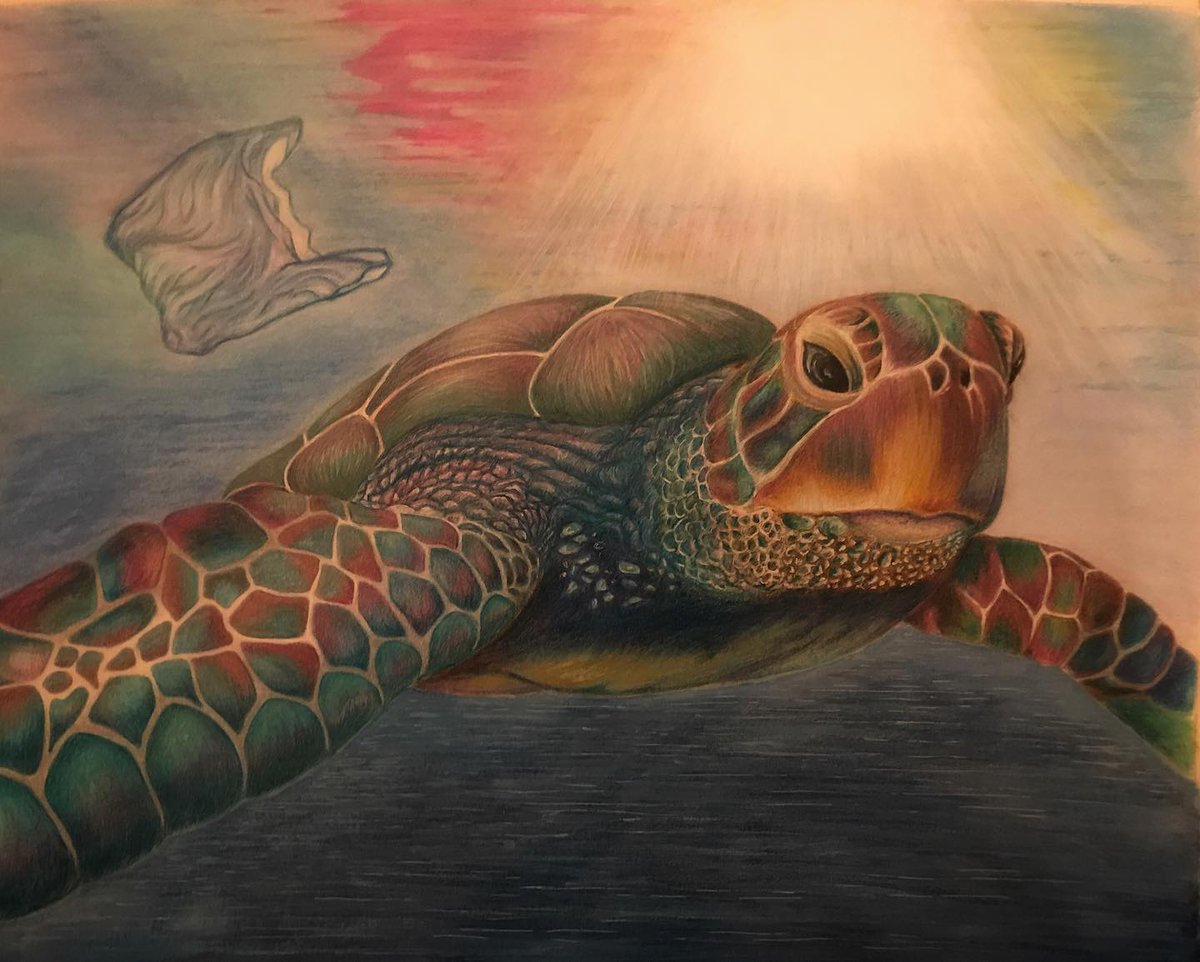 Perfection Polluted… my powerful piece, showing just how plastic can ruin such a beautiful habitat 🐢

#ThatsRichArtwork #SmallBiz #DorsetBusiness #DorsetArtist #PersonalisedGifts #PersonalisedGiftsUK #Turtle #SaveTheTurtles #PlasticPollution #StopPollution #NatureArt #TurtleArt