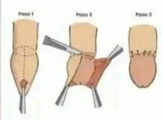 jacoboopargaaa's tweet photo. Yo le dije a mi amigo que me explicara cómo va tan fresco por la vida y me mando esto.
Alguien me lo puede explicar??😅😅😅 https://t.co/B1D93WfeeT