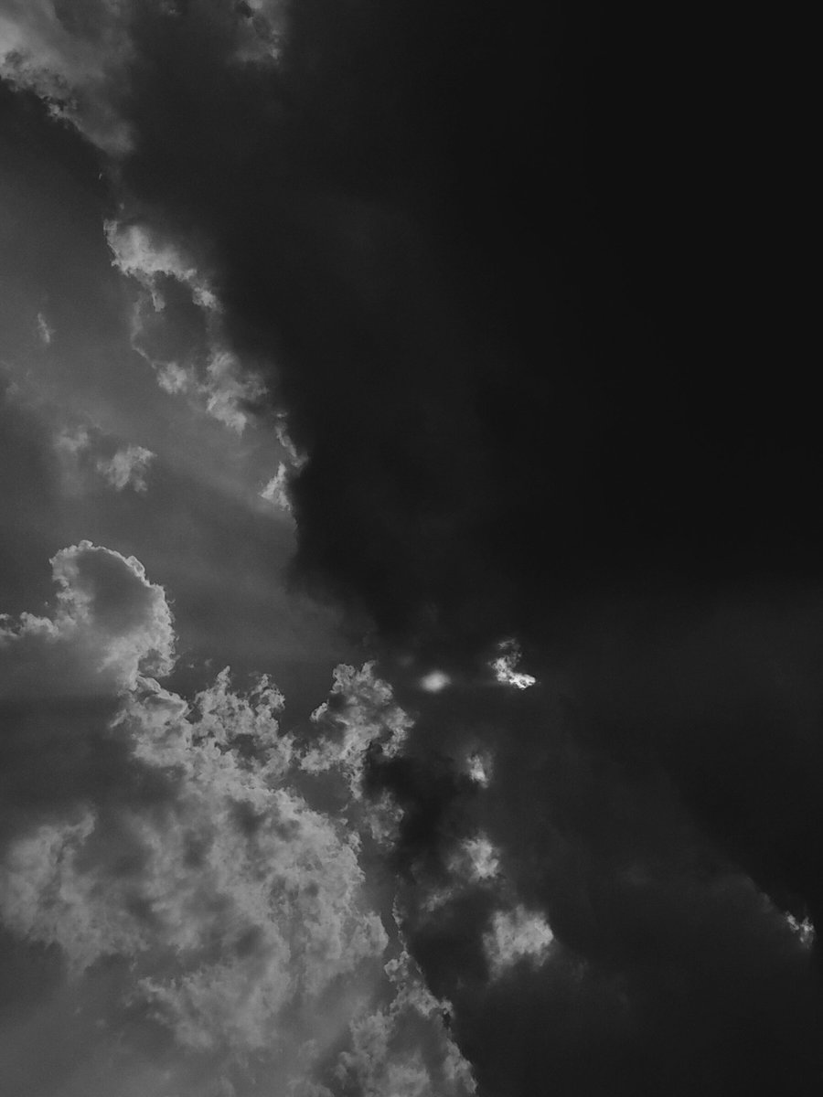 𖥻ishi is studying 📖!? tweet media