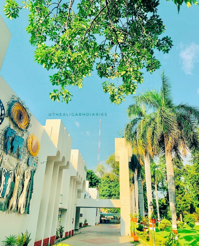 The Alig's Portal® on Twitter "*DEPARTMENT OF GEOGRAPHY, ALIGARH