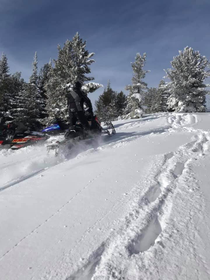 <a href="/LindaPeters64/">Linda</a> <a href="/ramblRramblR/">ramblr</a> Several years ago, in the area of this trail, came over a hill and about 25 yards away saw a bobcat staring at us. We stopped, and off he went. In our sledding we've also seen coyotes, elk and deer over the years. #TRLT a2