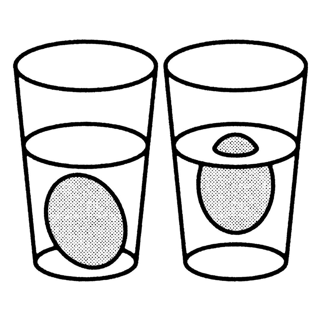 Paula Garrofé tweet media