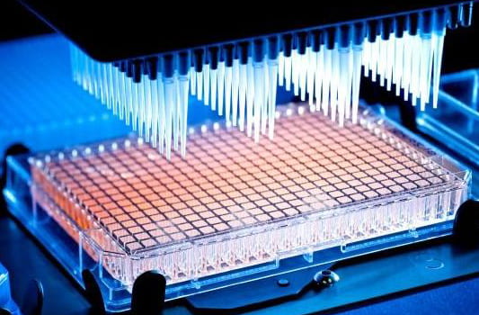 HullemanLab's tweet photo. Interested in #highthroughputscreening for vision research, but don't know where to start? Join me, @sharmaruchi29 and Keith Luhrs for our @ARVOinfo HTS Special Interest Group on June 13th at 8AM EST.
More info and registration: https://t.co/bb4mpOa0bS https://t.co/JCG7tSp0ta