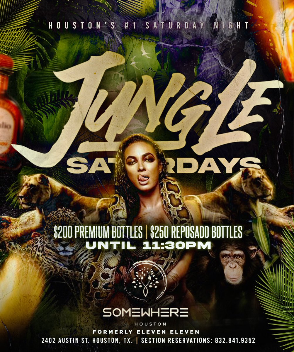 Twill®️ tweet media