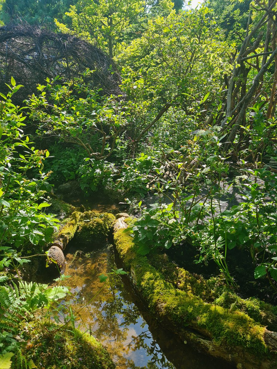 #bordbiabloom Het is bijna zover. Bloom, het Ierse showtuinen festival in Dublin, gaat vrijdag open. Hier vast een sneak preview van één van de tuinen.