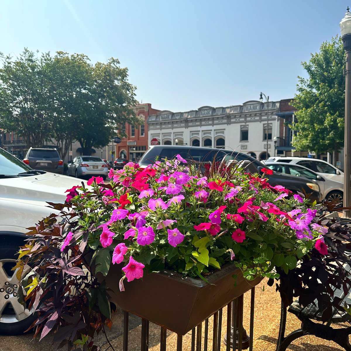 It’s another beautiful day to be in Oxford, Mississippi 🌺🌤️📍