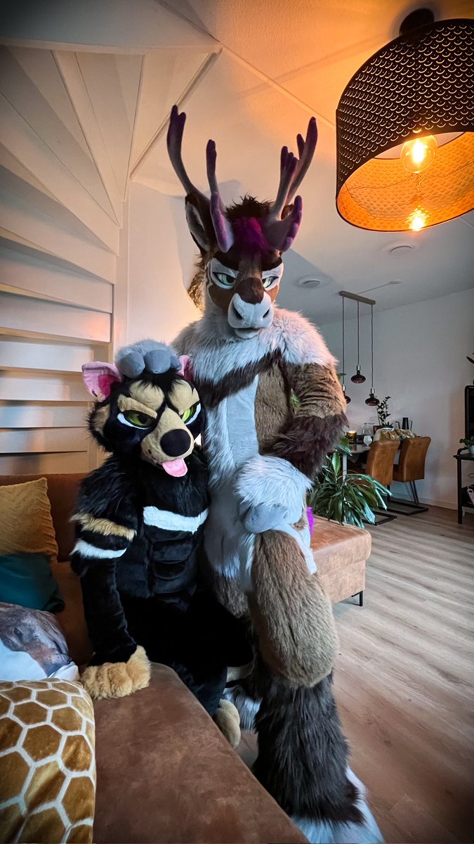 ✨ Orion and Joey are here to light up your day. 💛🐾 Be more like Joey and find comfort in a soft tummy today! 🐾❤️

#TummyTuesday #HeartwarmingMoments

😈 @Nihilusion 🦌 Orion
📸 @FENNECPARTY