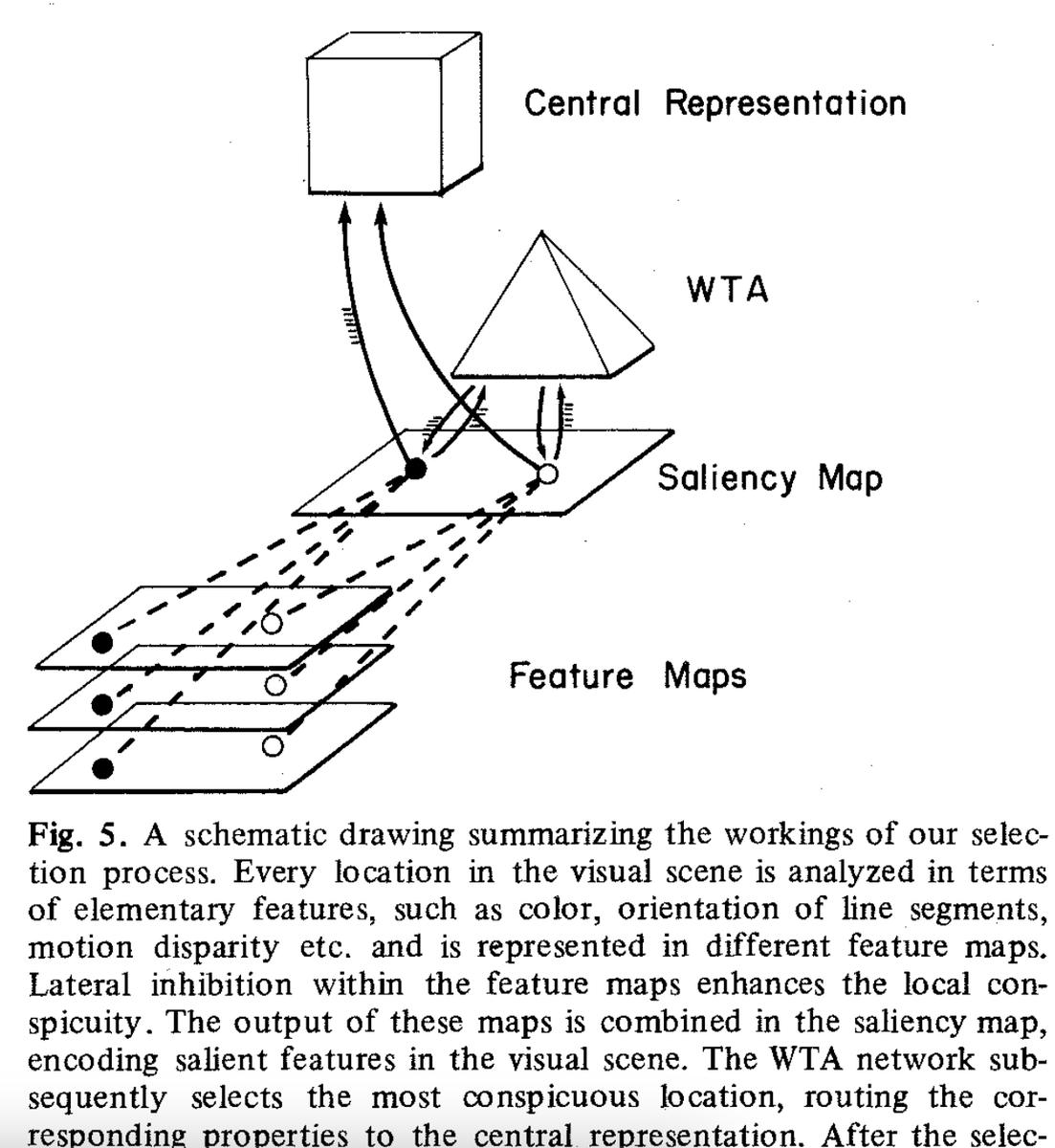 Old comp neuro papers can be a bit hard to read, but you find some real gems. Here's a proto-visual-transformer (ViT) from Ullman and Koch (1985). cseweb.ucsd.edu/classes/fa09/c…