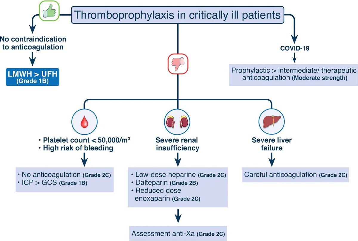 “LASTING LEGACY IN INTENSIVE CARE MEDICINE: Thromboprophylaxis in critical care.”

🔗 doi.org/10.1007/s00134…

#CriticalCare #IntensiveCare #SCCMSoMe #FOAMcc #FOAMed #EMCCM #CriticalCarePharmacology #Thromboprophylaxis #MedEd #MedTwitter