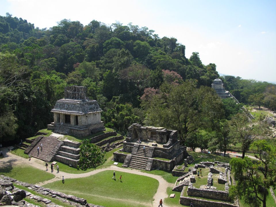 One of the most beautiful places I visited is Palenque nestled in the forests of #Mexico #trlt A4