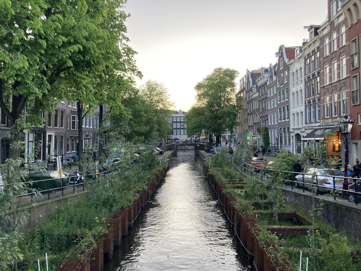 Rewilding the city …
Enforcing the quay walls coincidently brings new urban greenery to life. 
Can this become permanent at certain points in the historic center of Amsterdam – and elsewhere?

#amsterdam #canal #leliegracht #unesco #rewilding #urbangreen