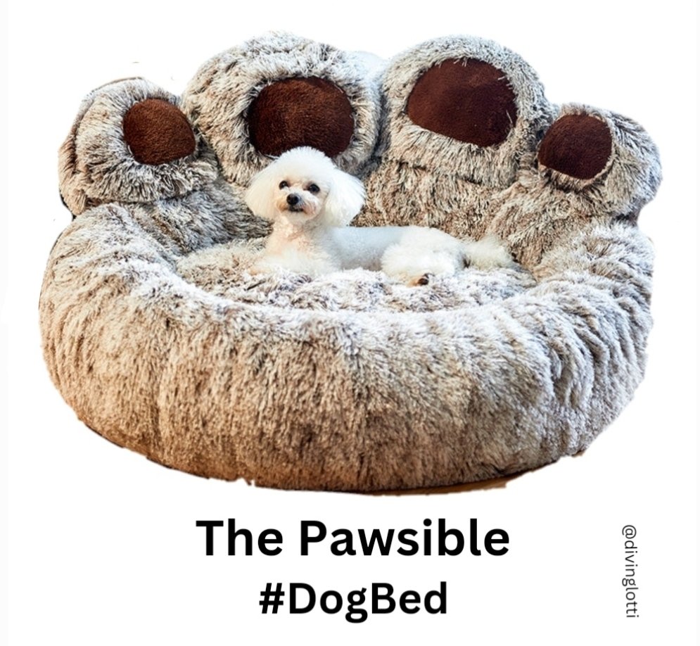 One Minute Brief of the Day:
Create posters to advertise #DogBeds 🐶🛏️
@OneMinuteBriefs