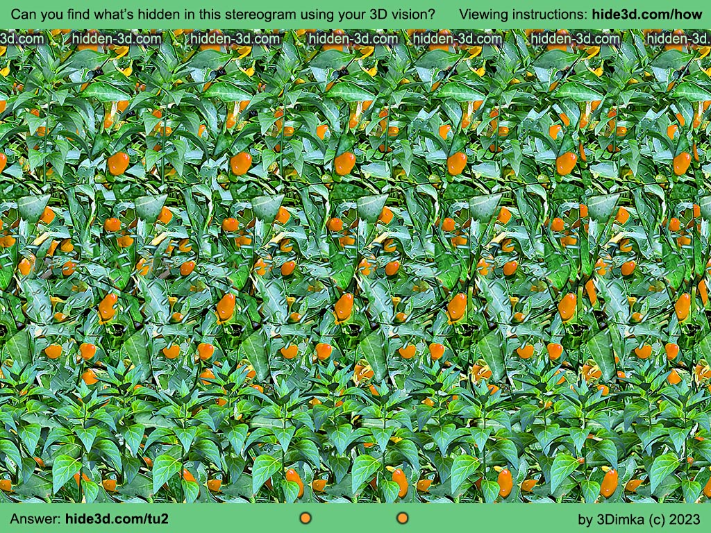 GREEN ROWS.

A combination of hidden 3D picture and 3D floaters is used in one scene.
Viewing instructions: hide3d.com/how

#magiceye #opticalillusion #3dimka
#ステレオグラム #マジックアイ #立体图 #stereogram