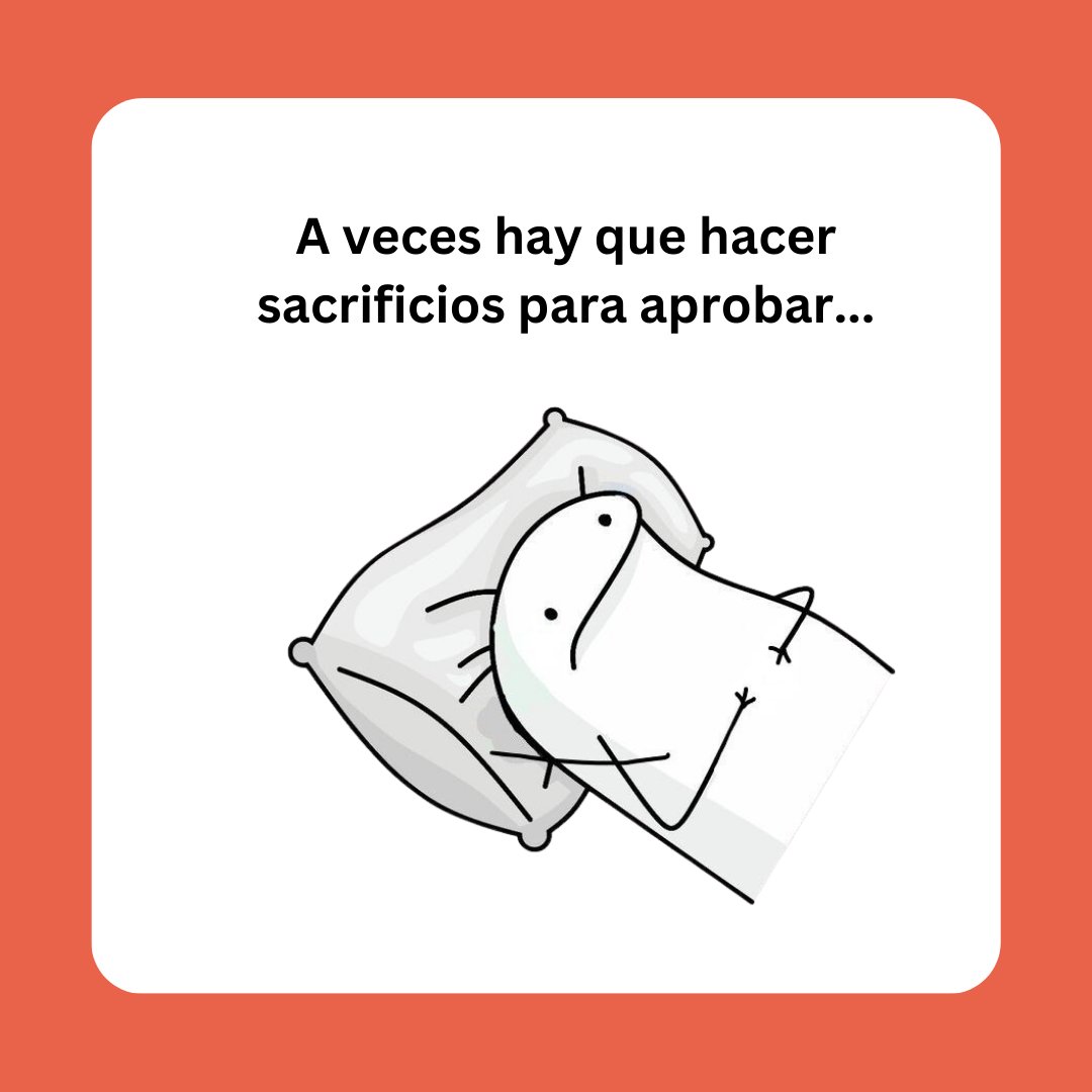 becadvisor_es's tweet photo. Ser o no ser.... tiktoker 🤔
Porque ser un estudiante responsable ya está descartado 😂
#memesespañol #meme #lavidamisma #memesestudiantes #memesdeestudiantes #vidadeestudiante #tiktok #becadvisor https://t.co/XFKCo1vrDp