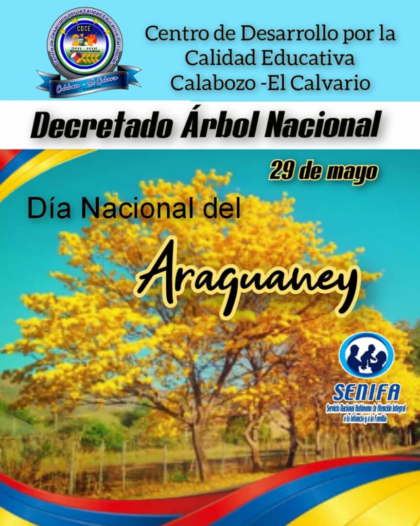 senifaguarico1's tweet photo. Semana del Araguaney, luego decretado el 29 de mayo al Araguaney Árbol Nacional de Venezuela, por resolución del Ministerio Educación de Venezuela del 19 de mayo de 1951, dispone celebrar la semana del árbol, tomando la efemérides del árbol el último domingo del mes. https://t.co/zOQ6KDJo3X