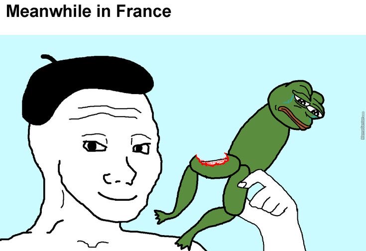 Ribbit (@ribbit_coin) on Twitter photo 