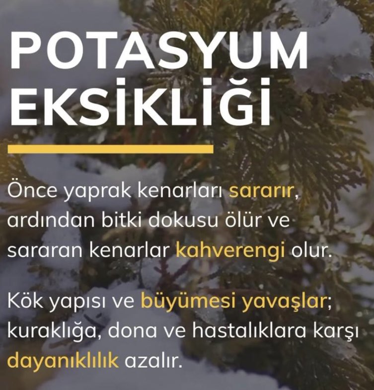 Harun2407's tweet photo. #Potasyum Bitki Beslemede Eksik Olmasın . Sorun Varsa ; Çözüm : @makrotarim #makrotarim #BitkiBeslemeUzmanı #RedPowerK #ColorK #PotAminoKST #CalpoN https://t.co/juTsQHiIgB