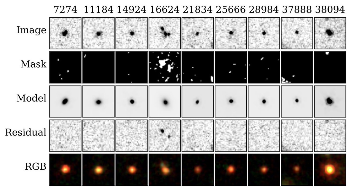 New JWST paper: the sizes of galaxies that shouldn't exist! 
Josephine Baggen finds (in her very first paper!) that the candidate massive early galaxies that were found last summer with JWST are tiny, with a mean half-light radius of ~150 pc. 
arxiv.org/abs/2305.17162