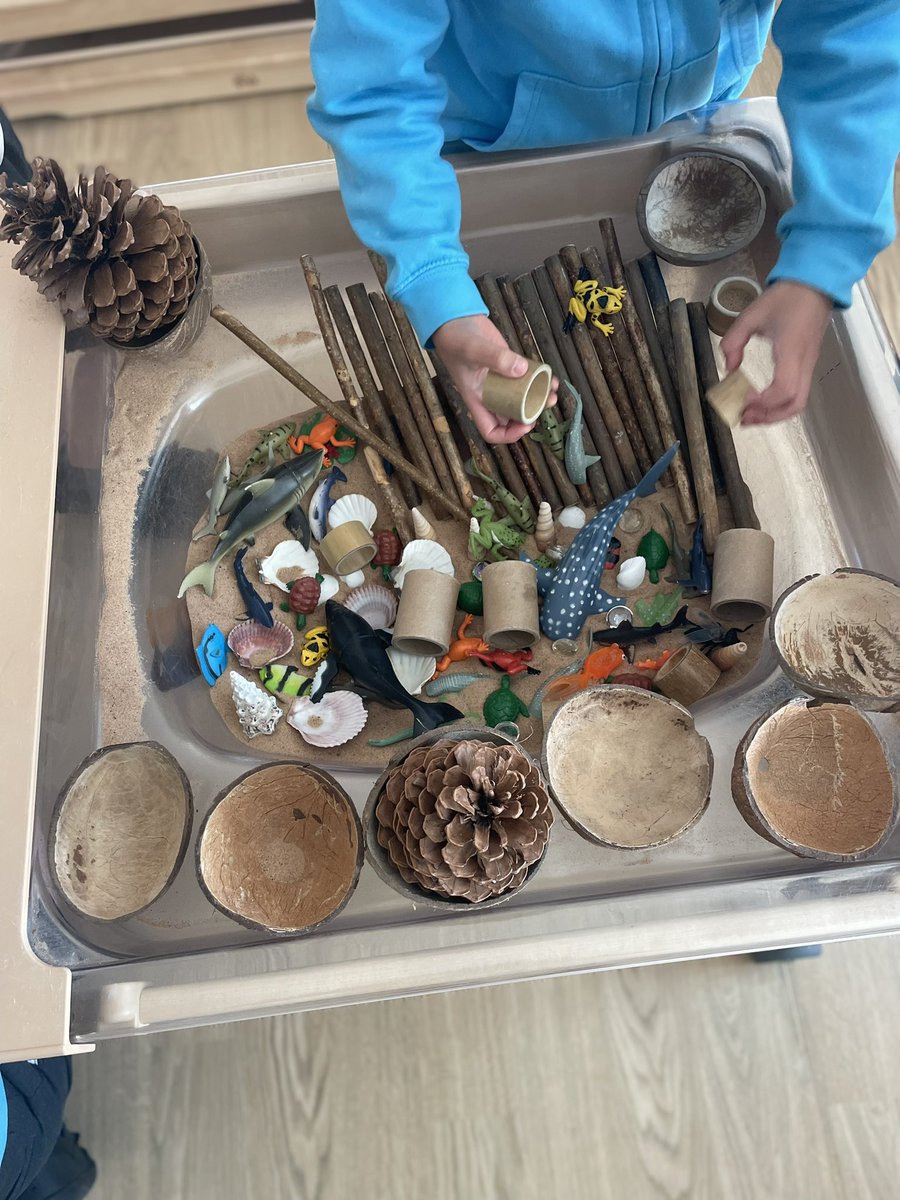 The magic of loose parts! 🌈 

“This is Sea Island….”🐠🐟🦈🐸🐬 

“The sand is the sea with all the beautiful shells. Do you know I counted 15 shells…big ones and small ones! 🐚 

“The 8 coconuts are the rocks you get by the beach.” 🥥🏝️

#play4p1 #BeingMe 💙