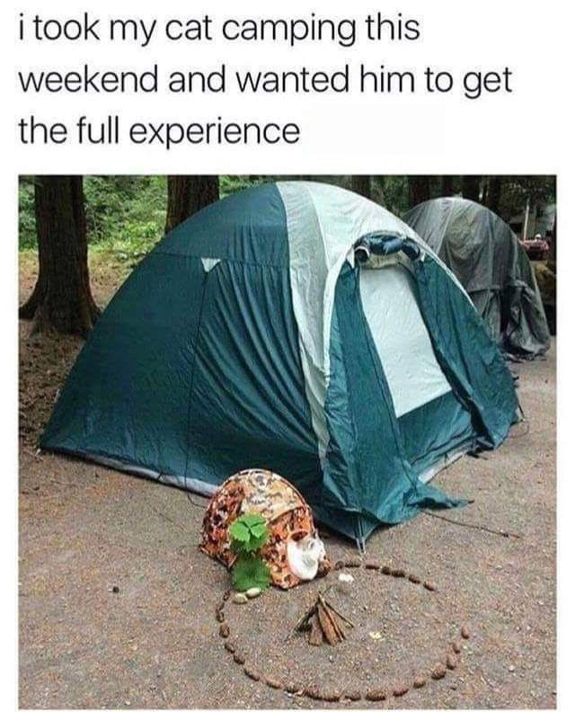 PepeXL Memes (@pepexlmemes) on Twitter photo 