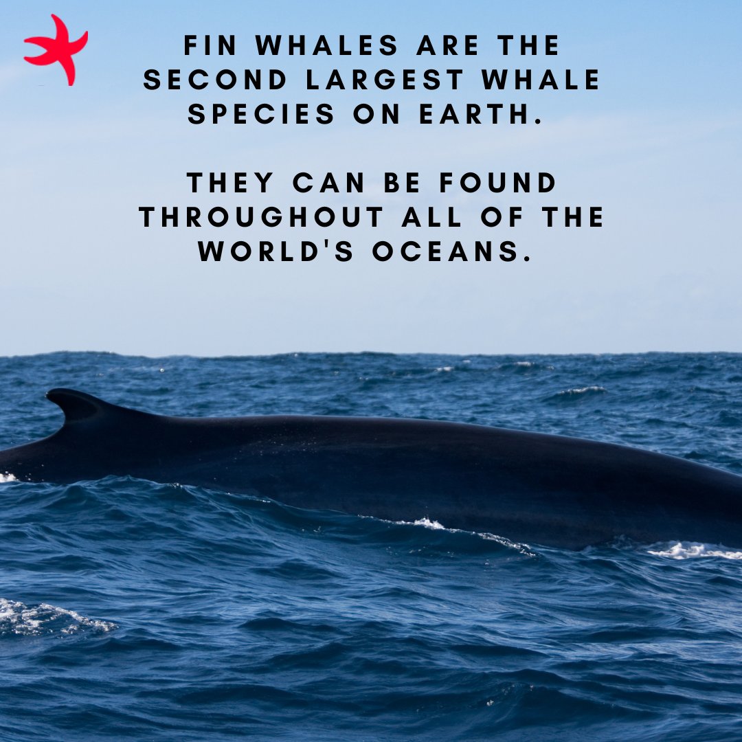 Ocean Institute tweet media