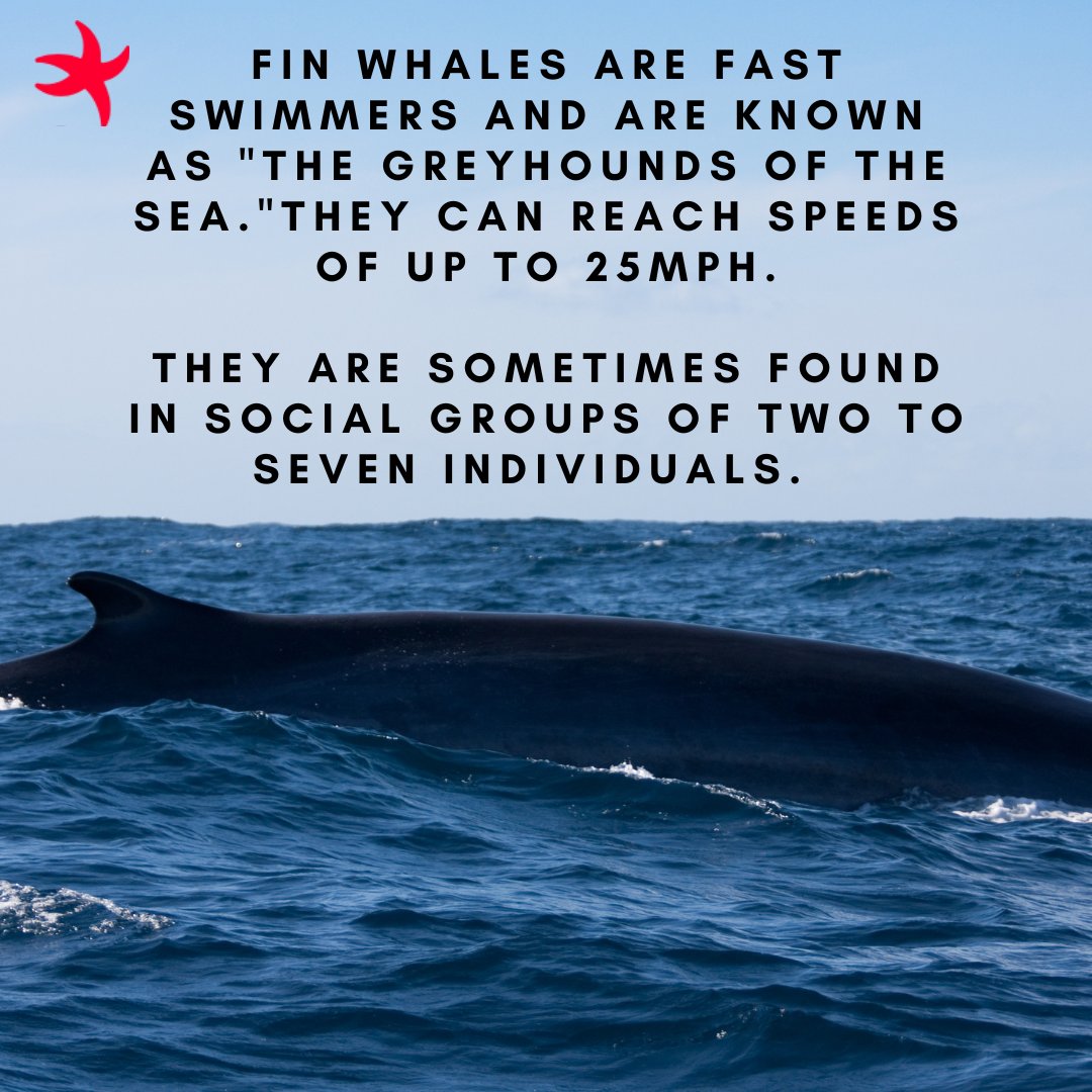 Ocean Institute tweet media