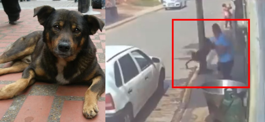 Cinco Radio Oficial tweet media