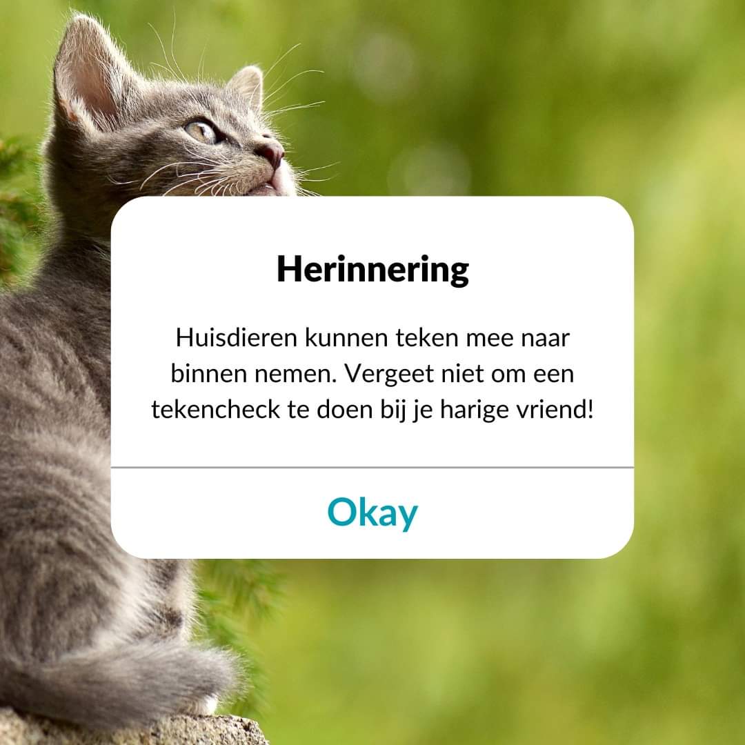 Lymevereniging's tweet photo. ⚠️ Huisdieren kunnen teken mee naar binnen nemen, vergeet daarom niet om een tekencheck te doen bij je harige vriend!

❓ Controleer jij je harige vriend regelmatig op teken?

#Lymevereniging #ZiektevanLyme #Tekencheck #Huisdieren https://t.co/pHmt23Ijz4