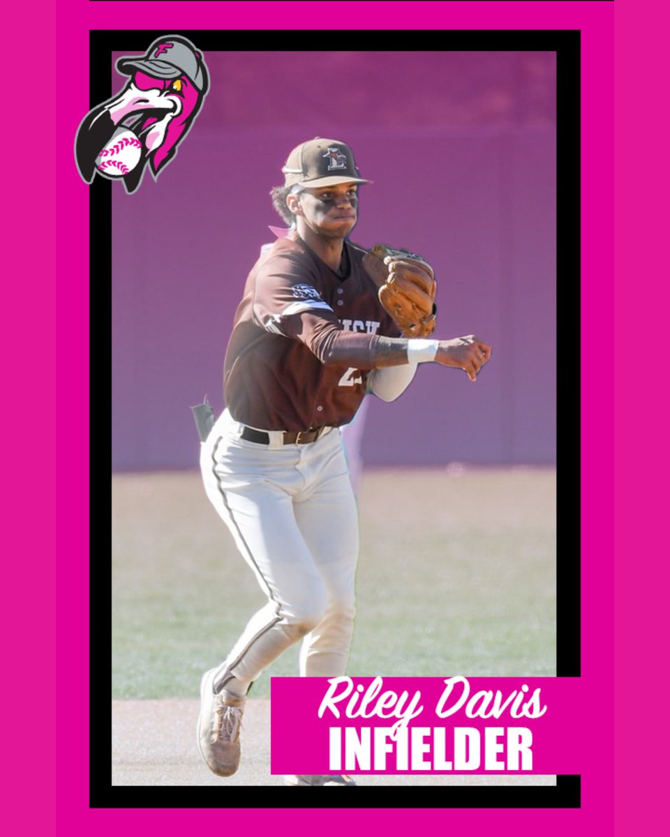 Florence Flamingos tweet media