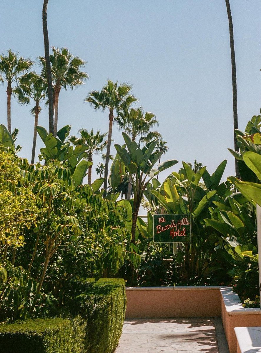 discovermade tweet media