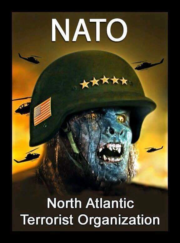 ADA79991318's tweet photo. @News__Italia #ORROREEE #ORROREEE #NATO😭😭😭😭😭😠😠😠 https://t.co/ZOLw1Vmzoa