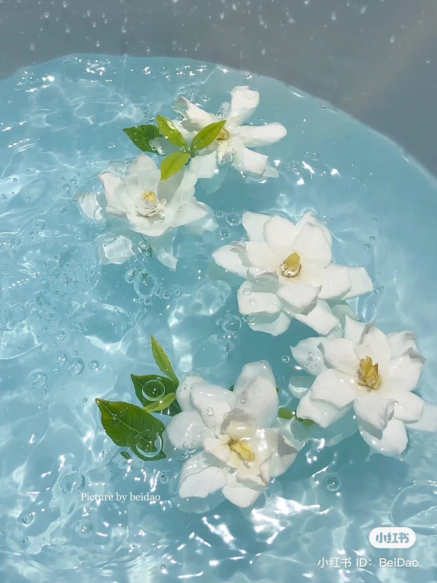 piinkibun's tweet photo. water x flowers <3 https://t.co/l5n0UdN69C