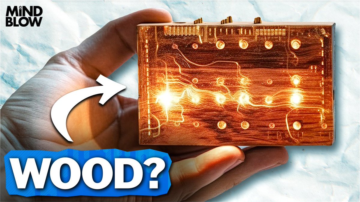 WOOD Transistor?

[new mind blow] --&gt; youtu.be/2vSufrs32fQ