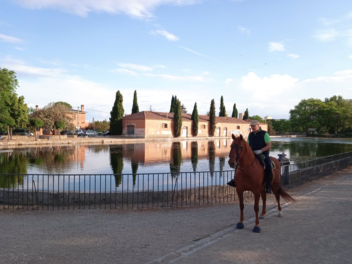 Mrtxu1's tweet photo. Un #Paseo #esplendido por este #entorno tan #espectacular.
#DarsenadelCanal #Palencia @tiempobrasero @TurismoPalencia @TiempoCyLTV @turism_palencia @CyLesVida @ElTiempo_tve @PalenciaTurismo @mndres @MagnaBrush @beapalencia13 @SalvemosDarsena @jeperohe @PalenciaAgenda @palentino https://t.co/ncm8oTC37n
