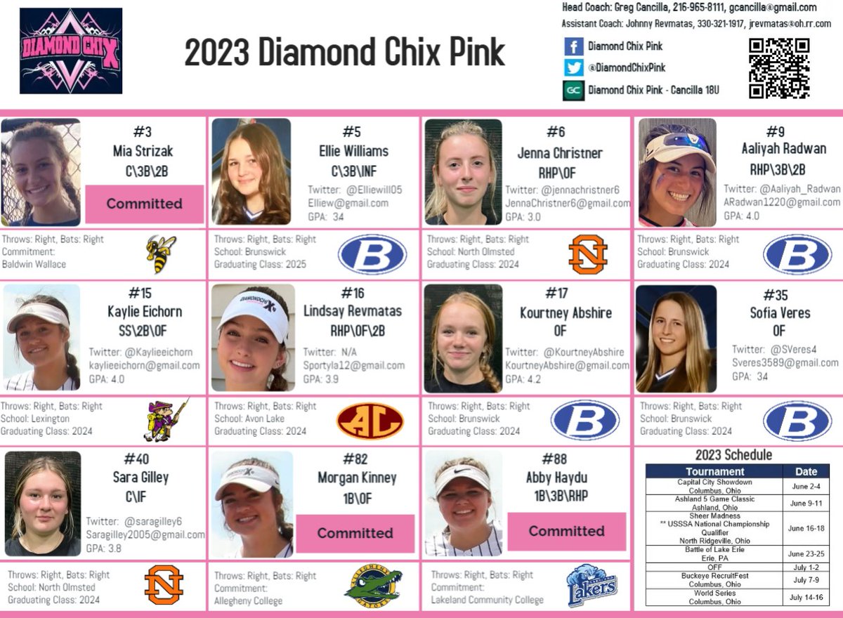Diamond Chix Pink tweet media