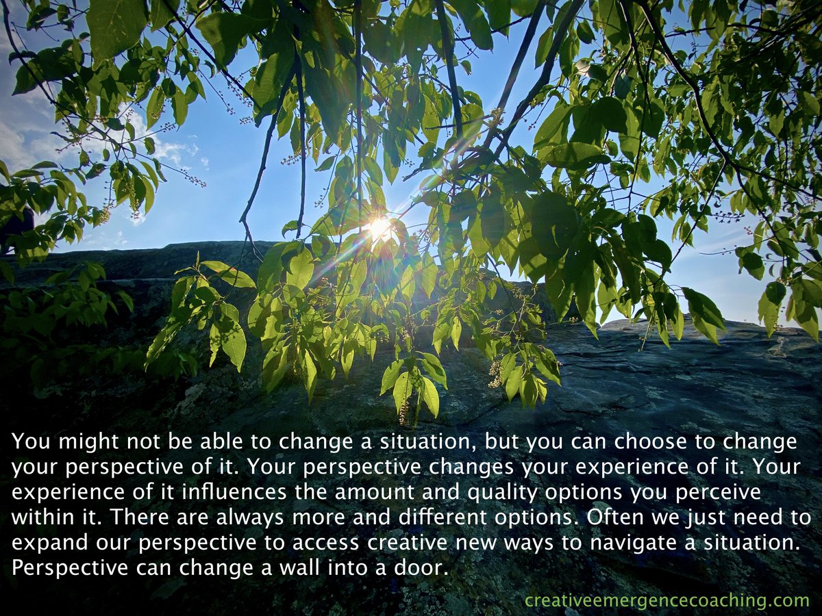 CreatvEmergence's tweet image. Changing perspective changes the amount and quality of options you can access. #creativethinking #patternbreaks