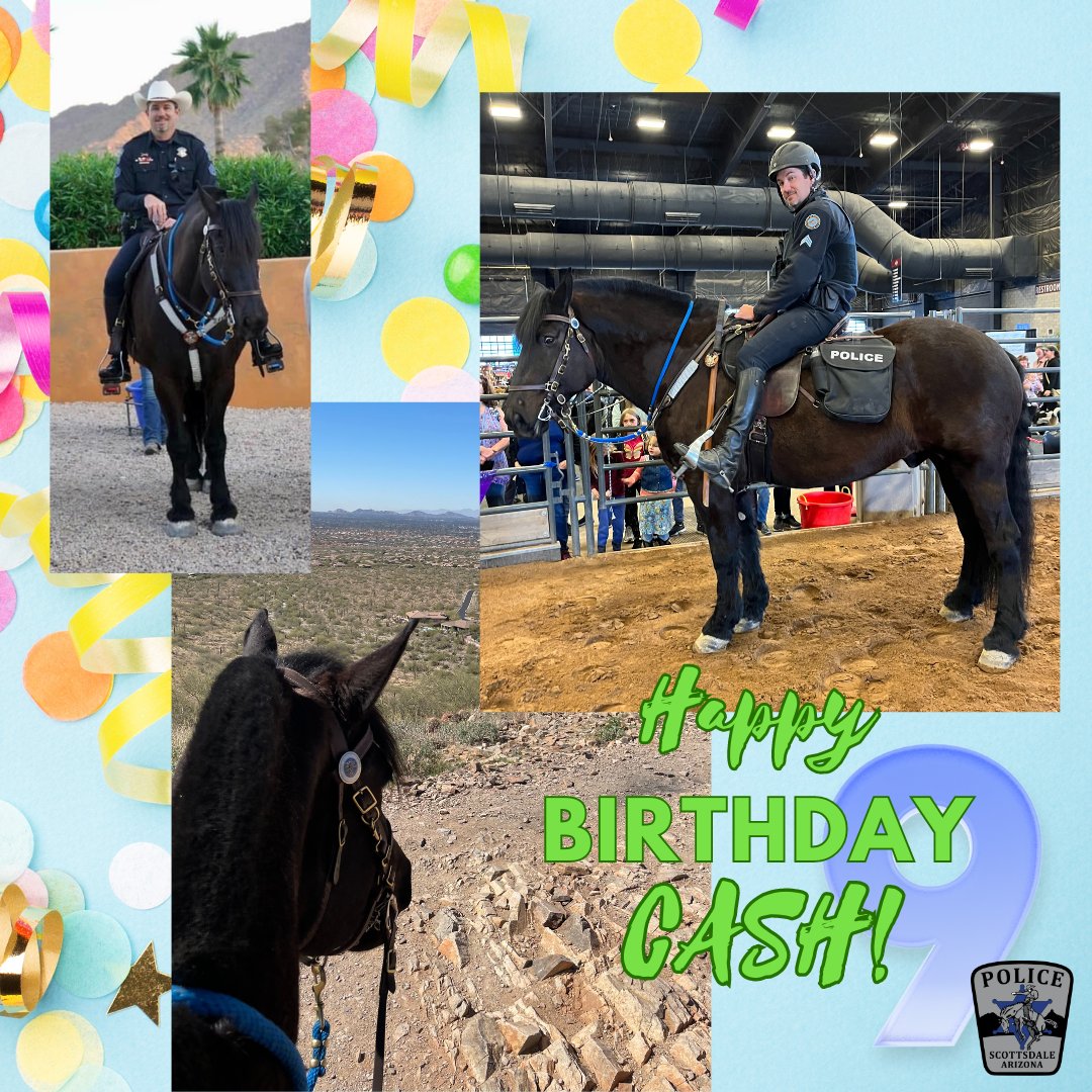 ScottsdalePD's tweet photo. Haaaaay! We've got another regal steed to celebrate this week. Happy 9th Birthday, #SPDCash! We'll be sure he gets extra 🥕 and 🍏 in his bucket.
Don't forget you can meet Cash and the #SPDMountedUnit this weekend at the Horses & Friends event. See Weds. post for all the details. https://t.co/g02QhwKie6