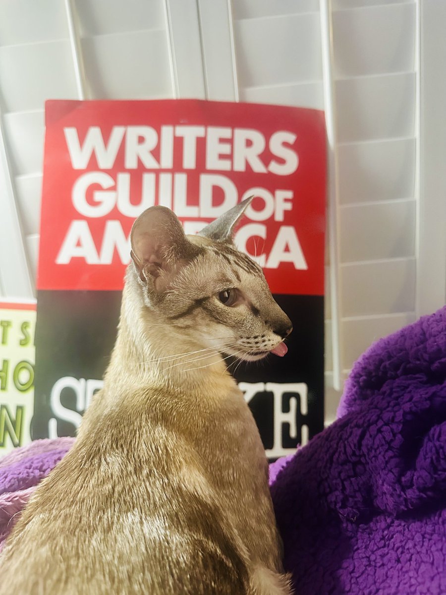 PeriwinkleChuk1's tweet image. Bleh, studio and streamer need to pay writer what writer deserve. Good TV and movie is enjoyment. I Space Cat and Space Cat support WGA strike. #WGAStrong #WGAStrike 🐾