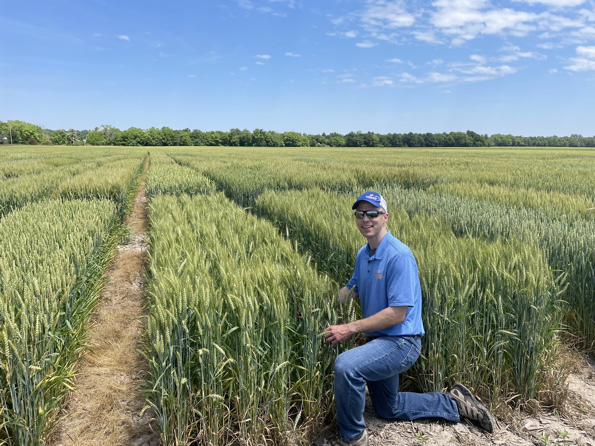 ericwestfs's tweet photo. FS InSPIRE Wheat Brand looking extremely impressive in Southern IL. 🌾 Spent time with Ryan Synder today, Forage, Turf and Wheat Product Manger, looking at commercial and potential new varieties for the brand as we move forward.  Proven performance  @InVISION_HiSOY #FSInSPIRE https://t.co/i2ETYRiu2u