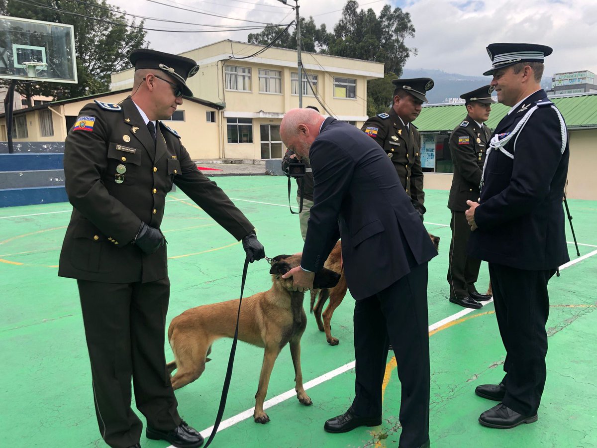 Desagneauxdiplo's tweet photo. Bienvenidos a los nuevos agentes 🐾 contra la delincuencia transnacional #Izma #Letho #Raya #Titus Ansiosos de iniciar con sus labores!
Hoy en la entrega oficial de #PastorBelgaMalinois 🐕 @CapiZapataEc @MinInterior_Ec para reforzar @PoliciaEcuador contra el narcotráfico
🇫🇷🤝🇪🇨 https://t.co/hQPGw8P2CB