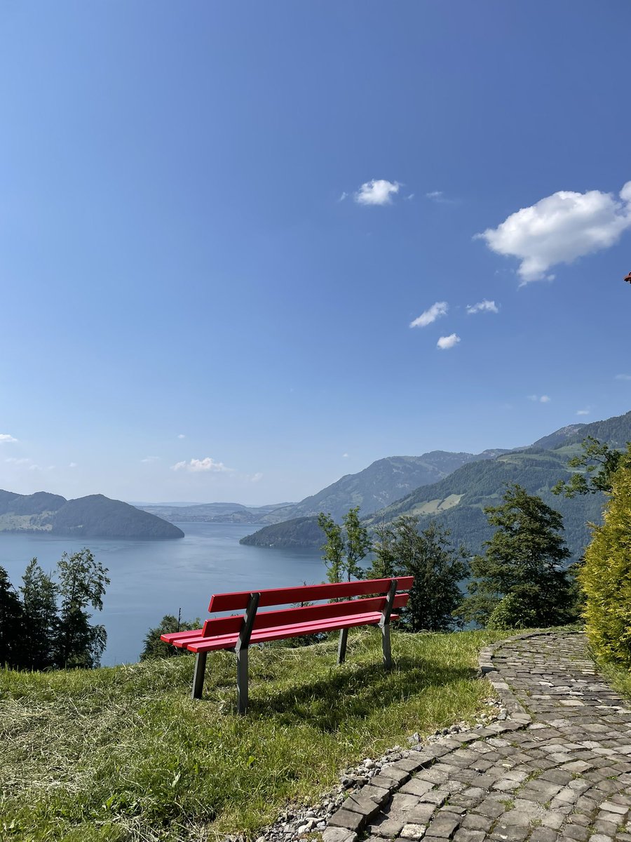 Hello from our institute! 

We are in Emmetten today and tomorrow for our first ever IMSB retreat 🥳

Lots of sunshine, great science, amazing food and fun with our colleagues ❤️