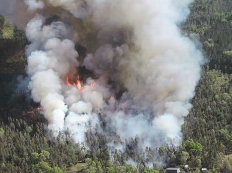 Michigan: Crews are working a 136 acre fire that broke out near Manton, Michigan. The fire was started by an escaped campfire. 

Most of the State is currently experiencing extreme fire conditions.
📷: Michigan DNR #wildfire #MIfire #MIWX