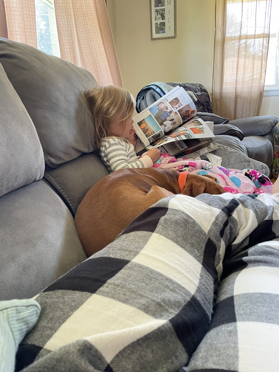 T_Bender2's tweet photo. Reading the @pheasants4ever magazine with her bird dog. 😂 https://t.co/SkBMWpdTIt