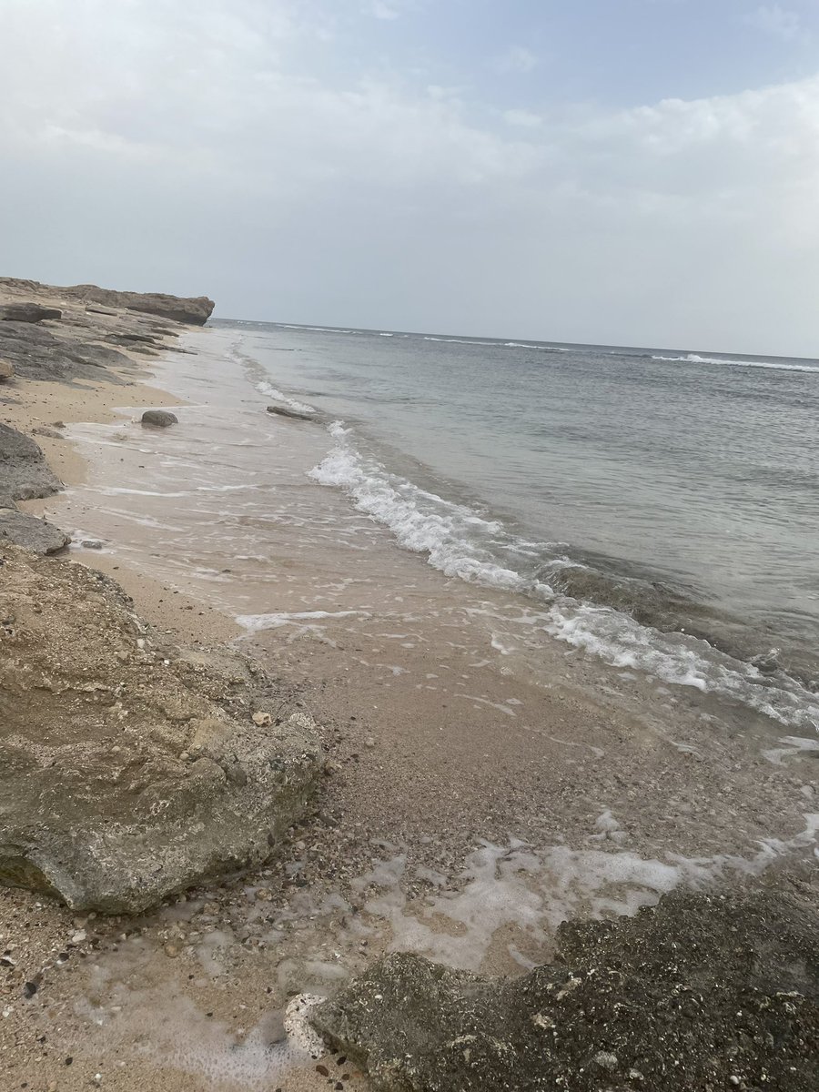 لا تنصح احد بتحمل ، بل خد مكانة وتحمل ، ما اسهل الحديث عن الصبر عندما لا يكون الوجع وجعك ،،❤️‍🩹