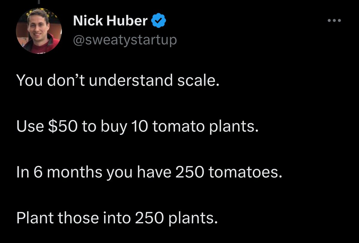 PLANT THE TOMATOS WHERE?
