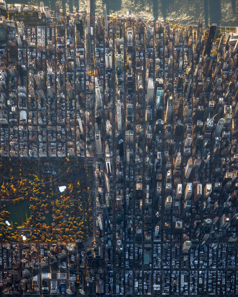 Paul Seibert tweet media